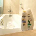 Apartmán Parque Albatros Vista Piscina E Mare San Miguel de Abona